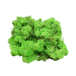 Dekorativní Sobí mech Naturel Light Grass Green 1 kg - sytě zelená