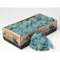 Sobí mech Naturel Aquamarine 500 g - dekorativní