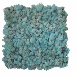 Sobí mech Naturel Aquamarine 500 g - dekorativní