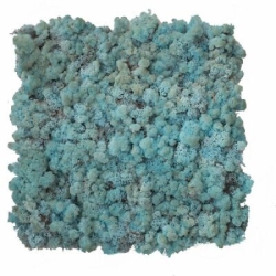 Sobí mach Naturel Aquamarine 500 g - dekoratívny