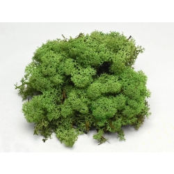 Sobí mech Medium Green 40 g - středně zelený