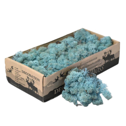 Sobí mech Naturel Aquamarine 500 g - dekorativní