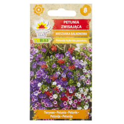 Petunie wiszące (Petunia hybrid pendula) - Mieszanka balkonowa 0,3 g