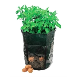 Multifunkční pytel na sázení a pěstování brambor 40 cm - zelený (APT)