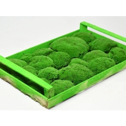 Polštářový mech Light Green světle zelený - (bedýnka 38x58 cm) 