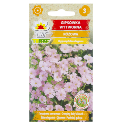 Šáter elegantní růžový (Gypsophila elegant) - 1 g semen