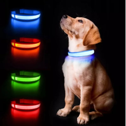Barevný svítící LED obojek pro psy či kočky - na baterie