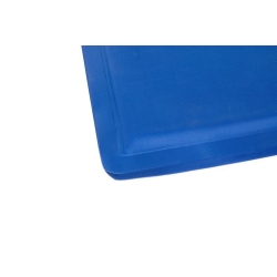 Chladící podložka pro zvířata 50x40 cm - modrá (VERK)