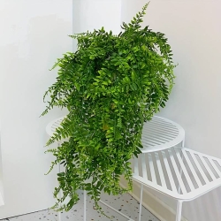 Umělá závěsná luxusní rostlina - zelené kapradí