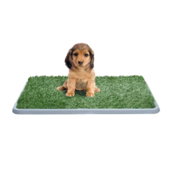 Toaleta pro psy XXL Potty Patch - s trávníkem