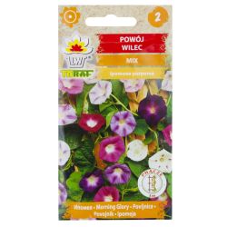 Wilec (Ipomoea purpurea) MIX - 3g nasion